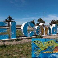 El Condor 13/09/2018 - No comment. Just the name of the town where we stayed to parrot watch!